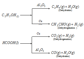 312_characteristics of catalysis1.png